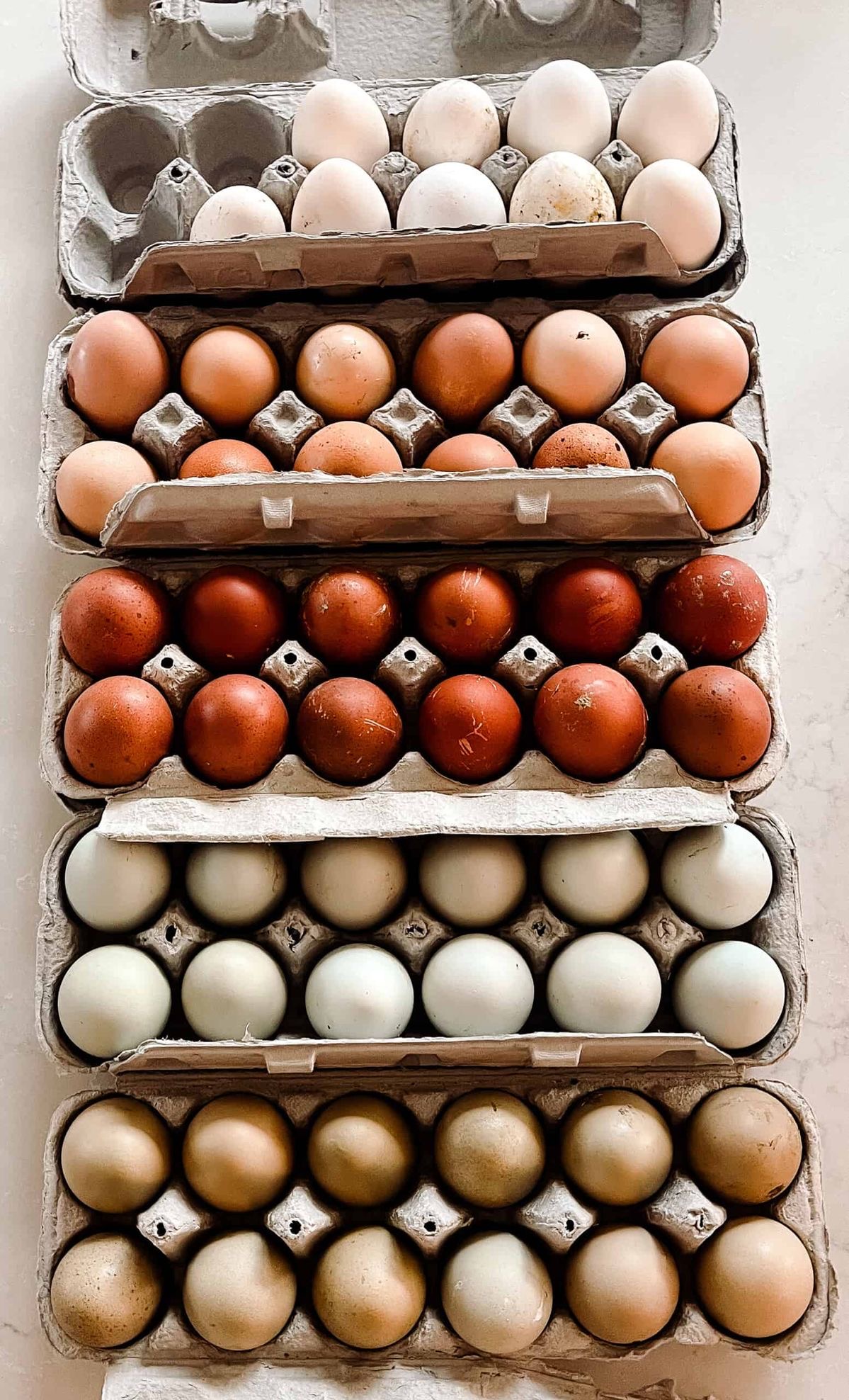 services-02 IMG 3185 1