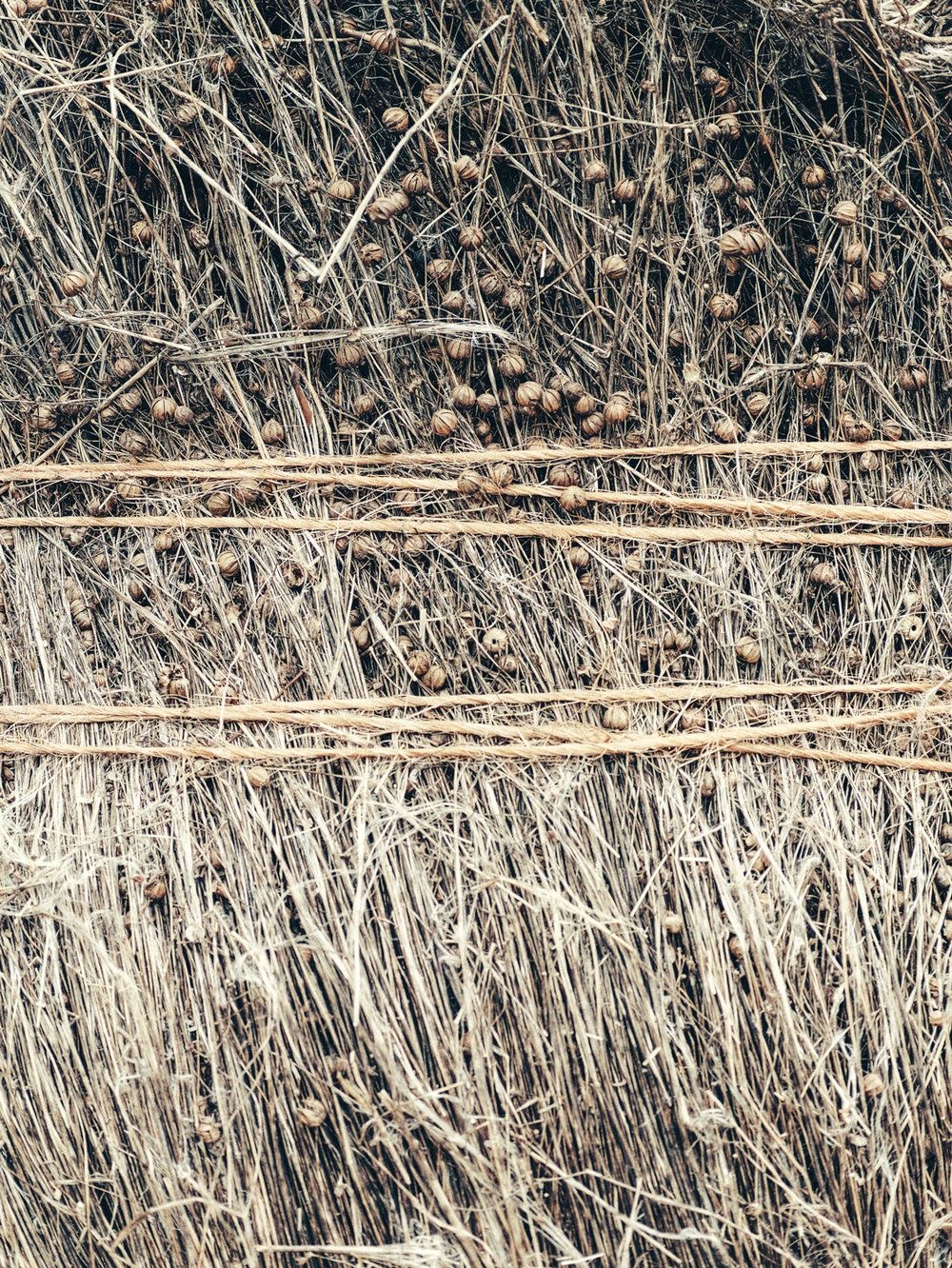 gallery-01 IMG 3190 1